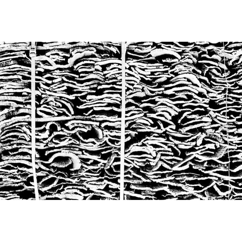 A Season On The Docks - The Port of Marseille