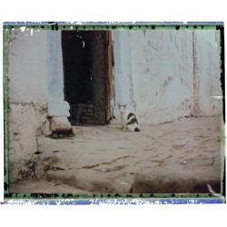 Algeroid 2