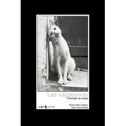 Astray - Portraits of Cats
