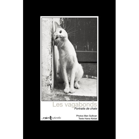 Les vagabonds - Portraits de chats