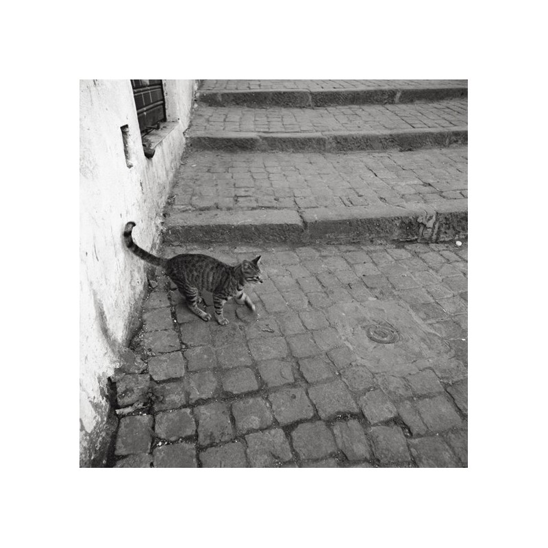 I'll Go See The Casbah