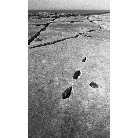 Land Scape