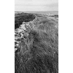 Land Scape 2