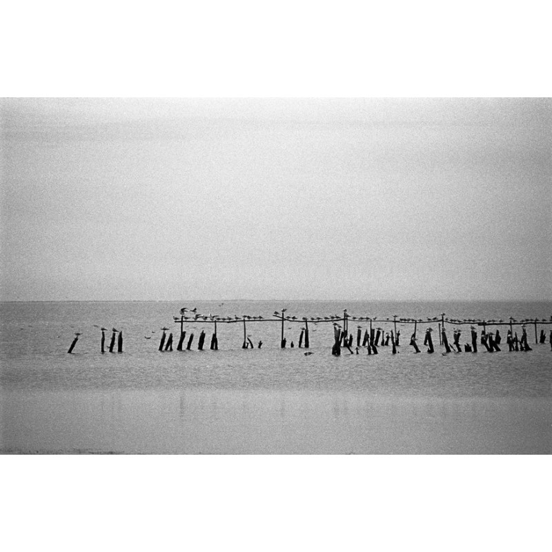 Eau, terre, nues - Camargue