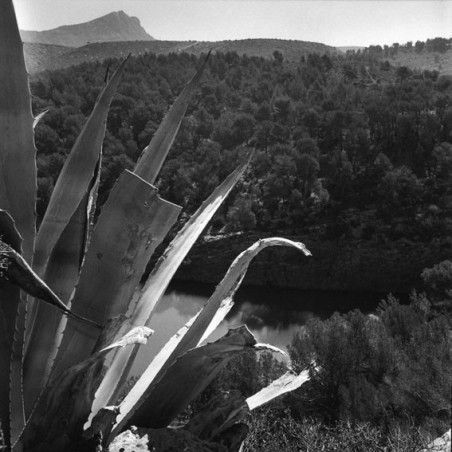 Aix-en-Provence Ways - The Sainte Victoire Mountain