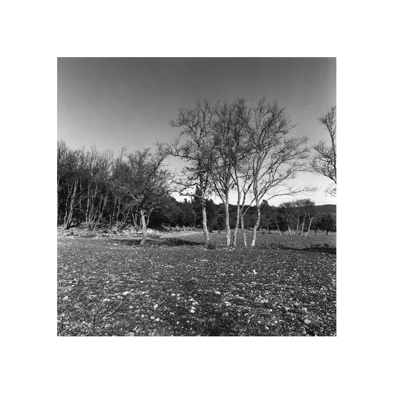 Les sentiers sestians