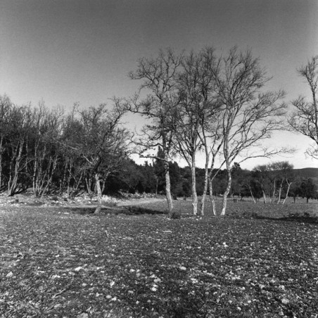 Les sentiers sestians