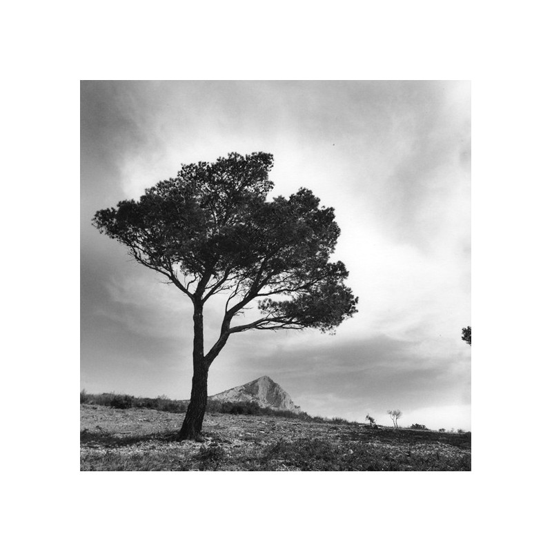 Les sentiers sestians