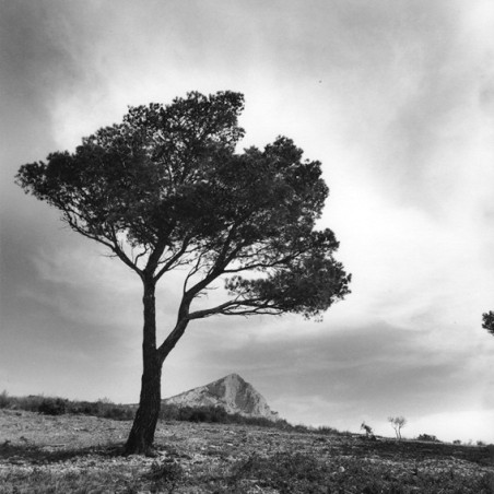 Les sentiers sestians