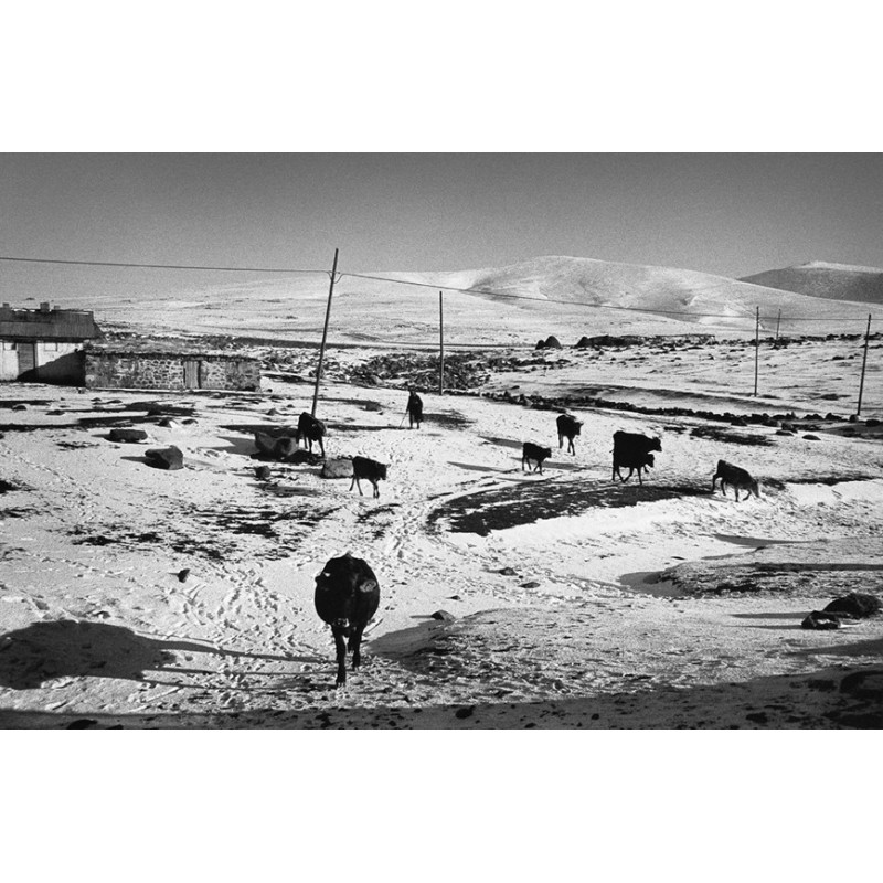 The Forgotten People of the Pipeline