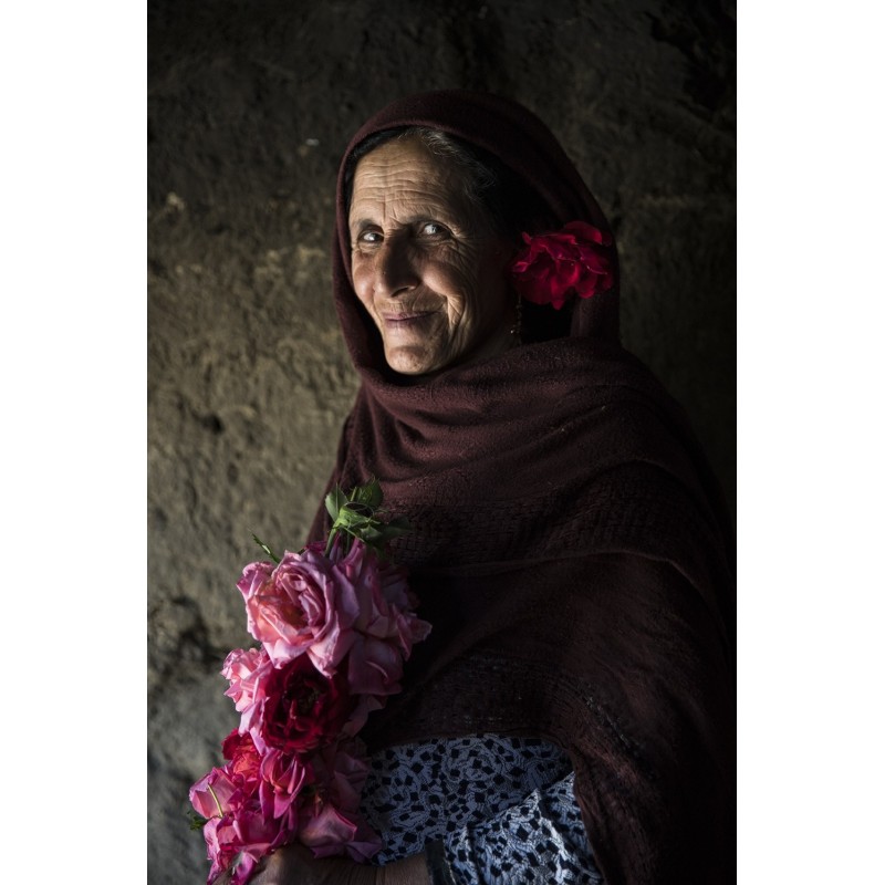 Des Roses sous les épines