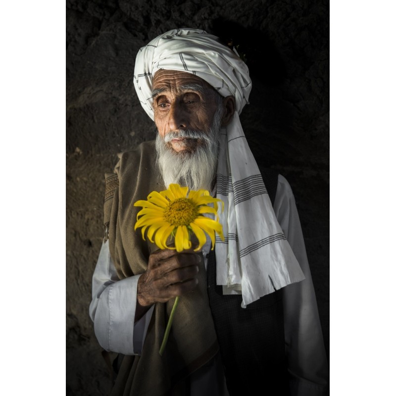 Des Roses sous les épines