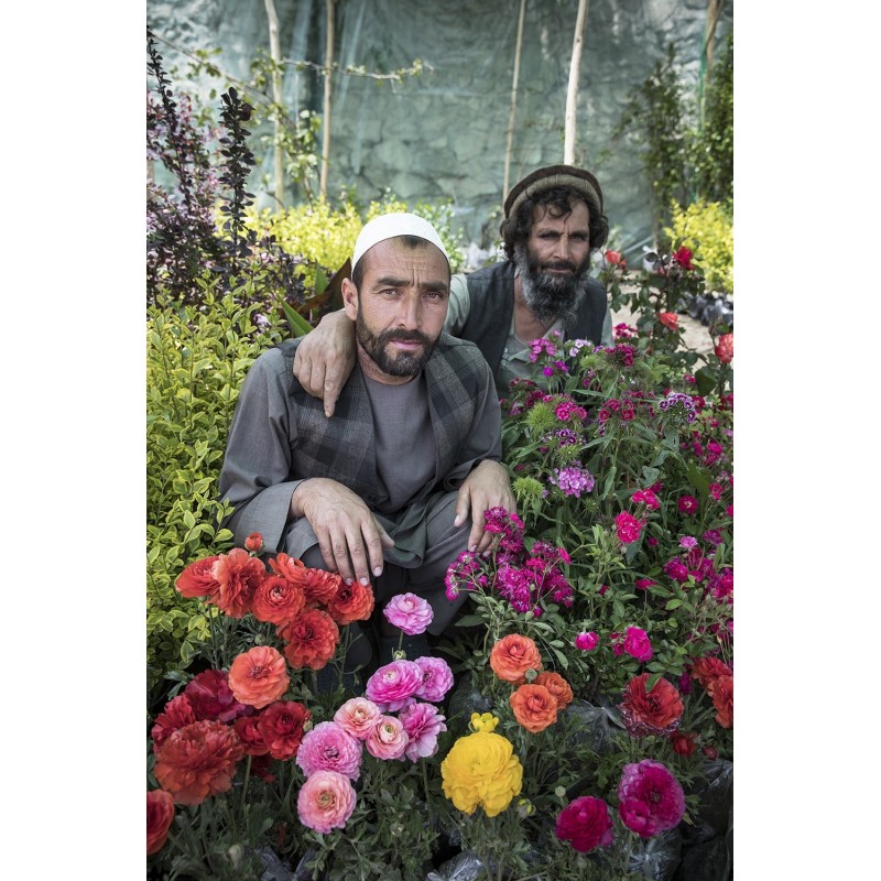 Des Roses sous les épines