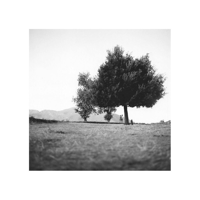 Être vivant - Arbres du monde