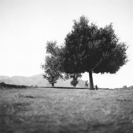 Être vivant - Arbres du monde