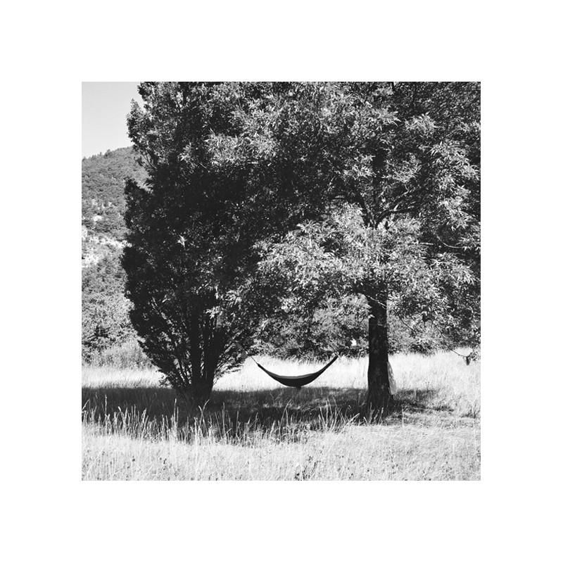 Ces petits riens - Philosophie d'un grand bonheur